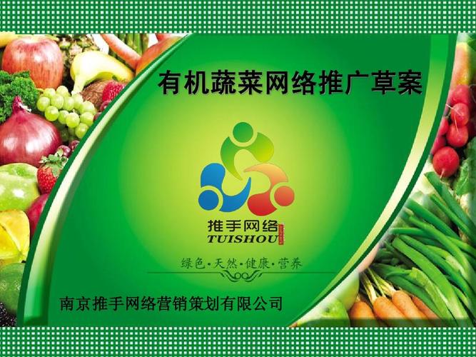 有机蔬菜网络推广草案 南京推手网络营销策划